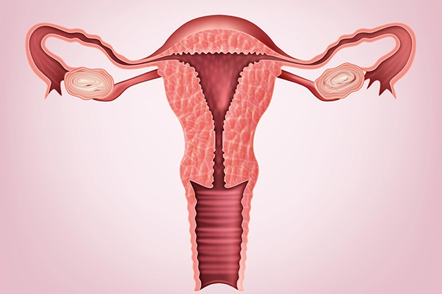 How to Know If You Have Fibroids: Symptoms, Causes, and What to Do